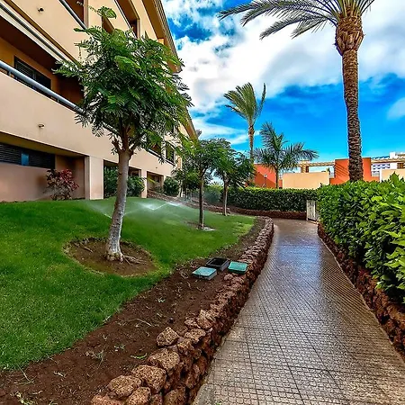 Paraiso 1par3d *